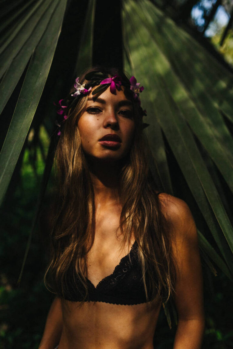 Nullam at tellus vehicula